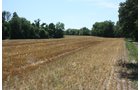 Property photo 10 - AUCTION POSTPONED